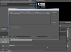 Adobe CS4 Premiere Pro Transcribe