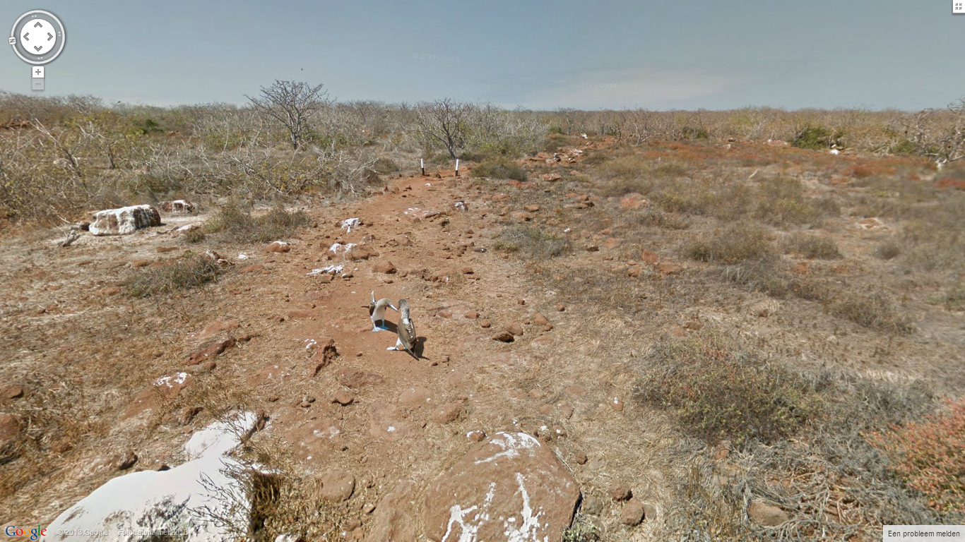 Google Street View Galapagos